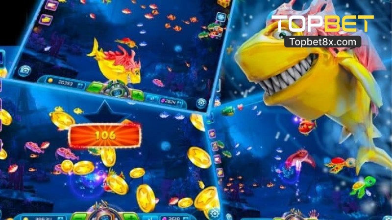 Kinh Nghiệm Chơi Tỷ Phú Đại Dương 