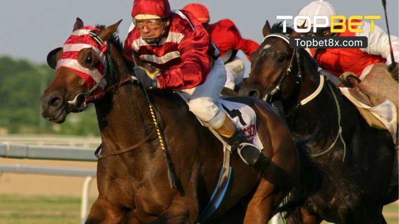 Luật Chơi Game Đua Ngựa 