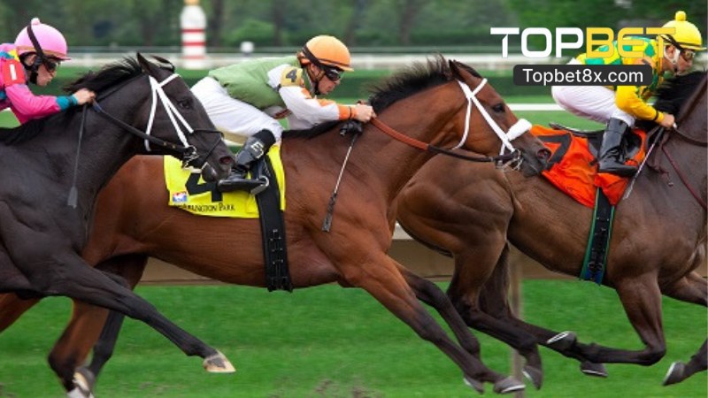 Luật Chơi Game Đua Ngựa