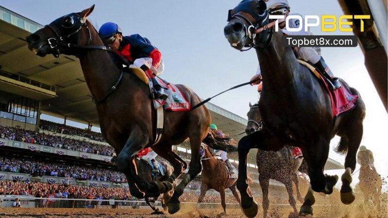 Luật Chơi Game Đua Ngựa 